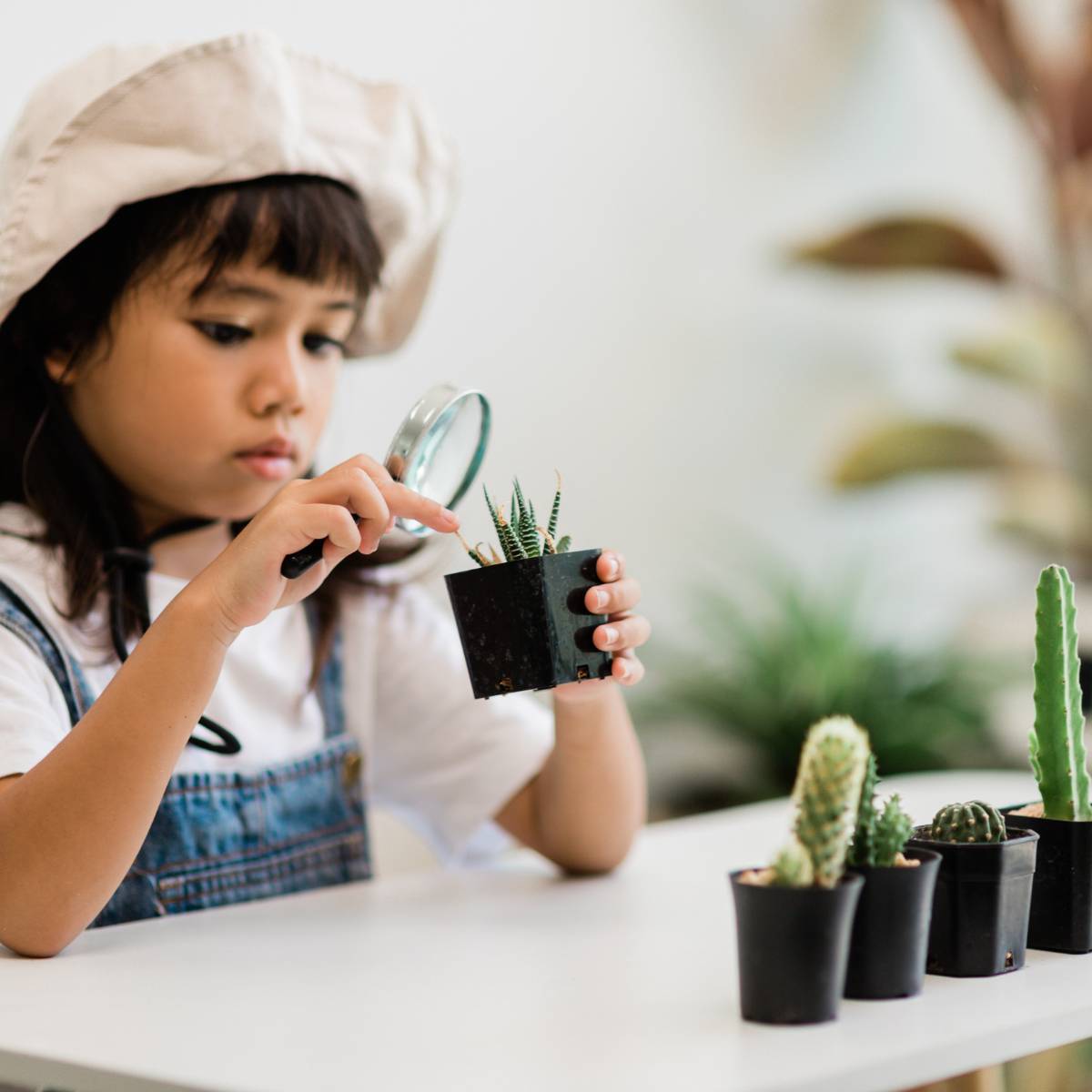 child looking through magnifying glass at succulents