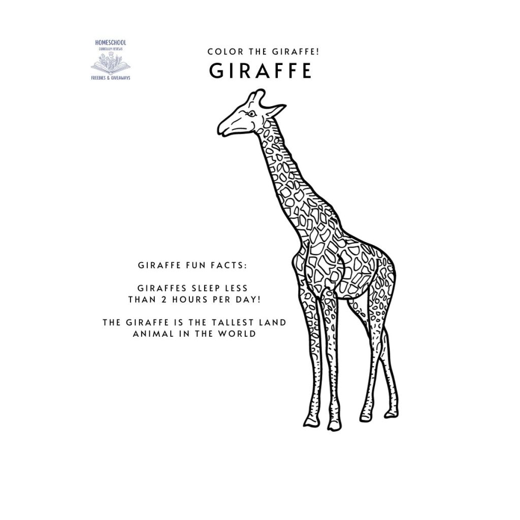 black and white picture of a giraffe for coloring with fun facts about giraffes