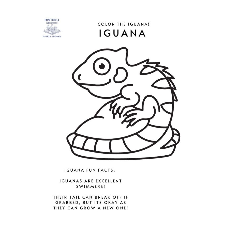black and white picture of an iguana with fun facts about iguanas