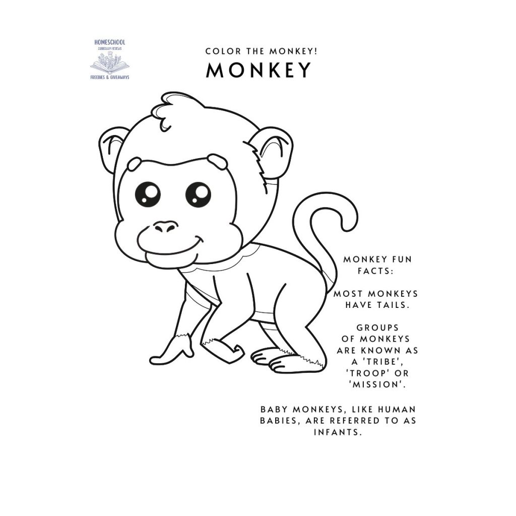 black and white picture of a monkey for coloring with fun facts about monkeys