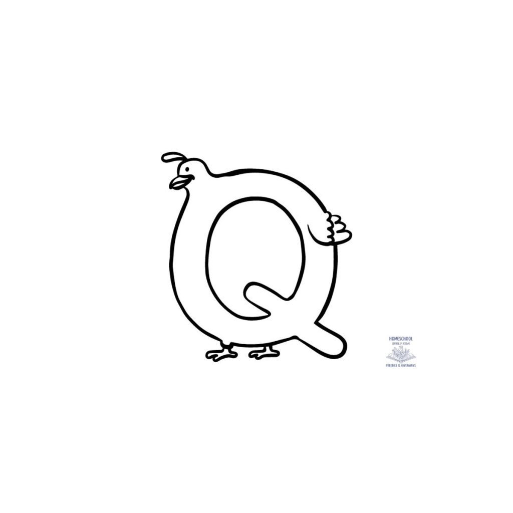 bubble letter q in the shape of a quail 