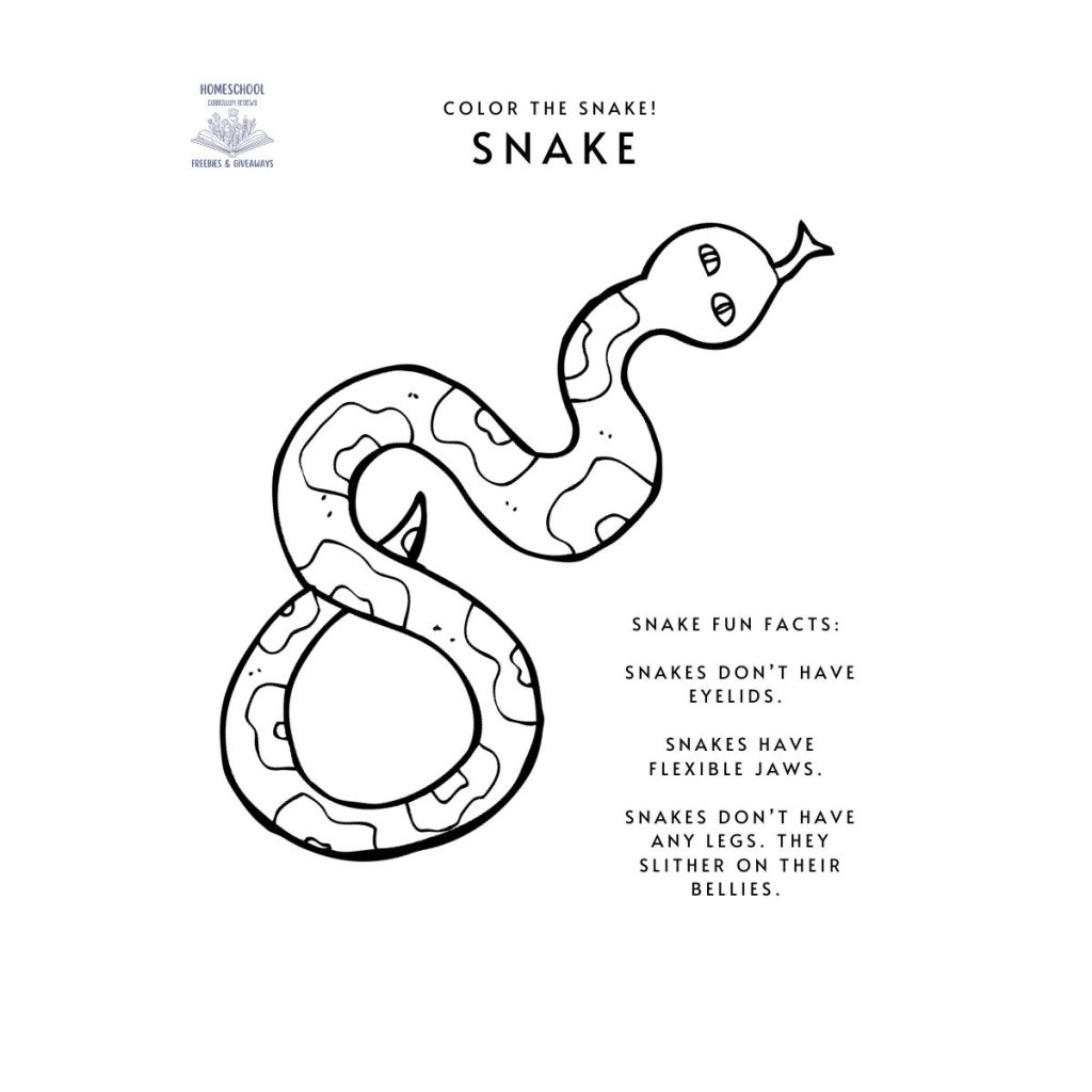 black and white picture of a snake for coloring along with fun facts about snakes