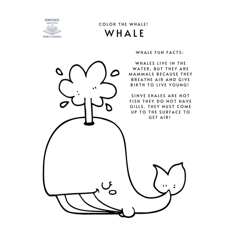 black and white picture of a whale along with fun facts about whales