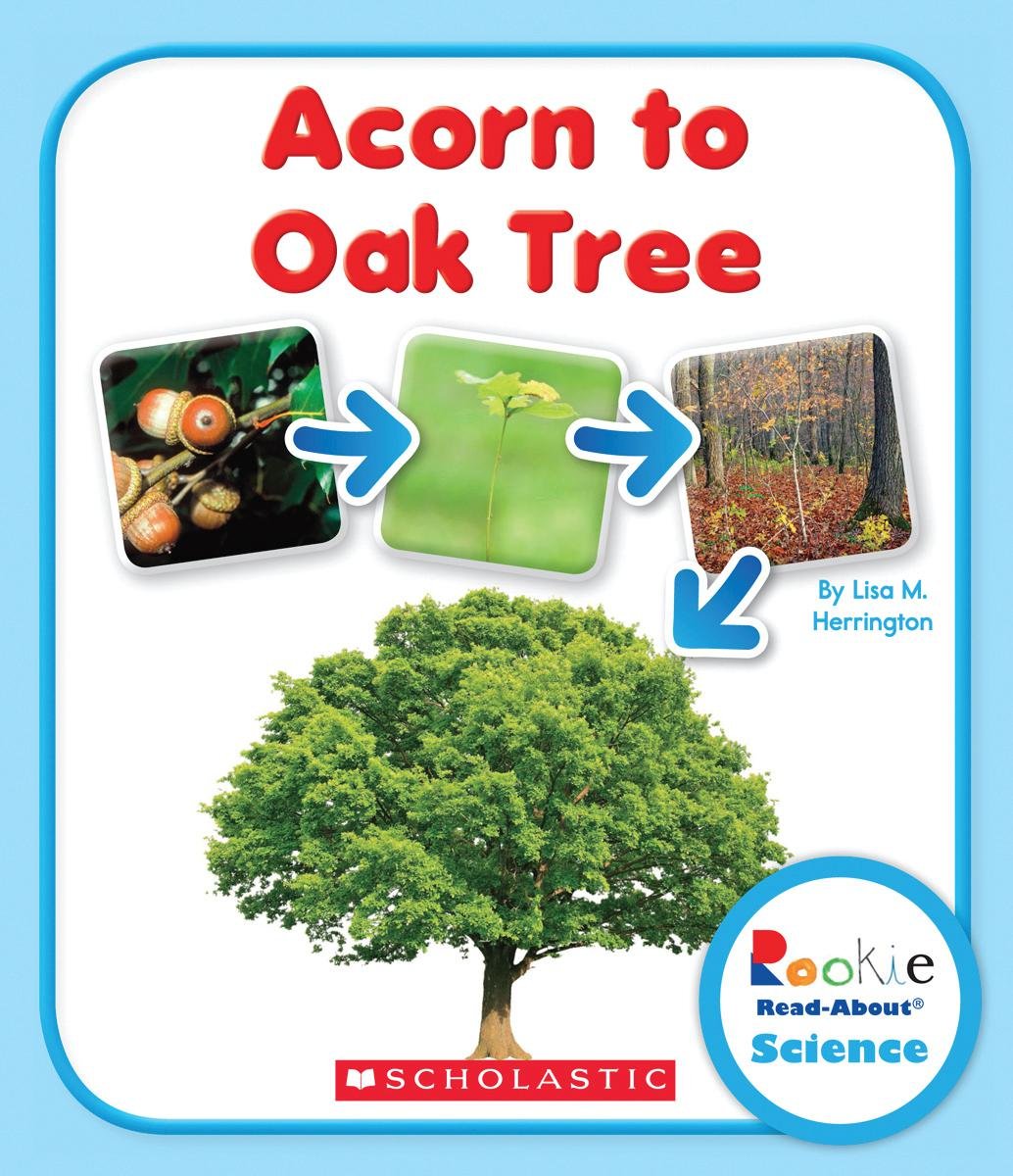Acorn to Oak Tree book cover