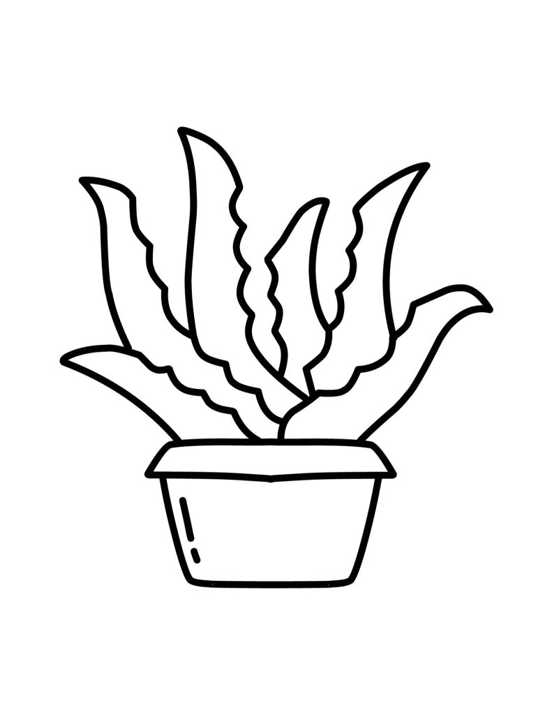black and white free printable cactus template for diy craft or cactus coloring page