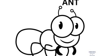 Free Printable Ant Coloring Page