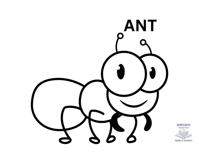 Free Printable Ant Coloring Page